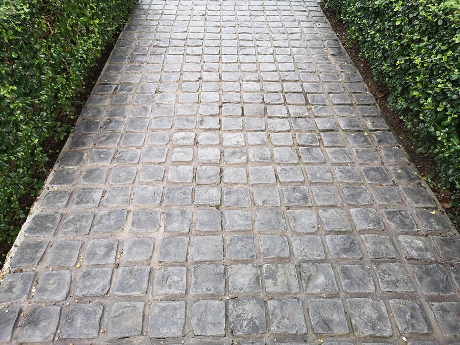 Stamped concrete lawn
