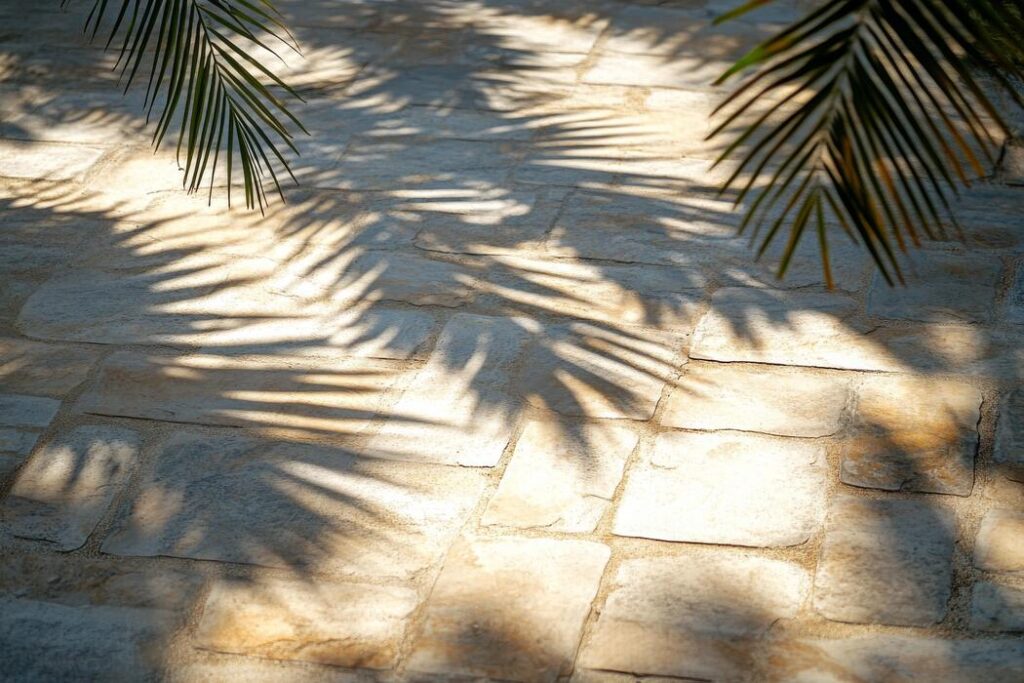 a-stone-walkway-with-palm-trees-and-shadows-free-photo